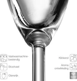 Leonardo Daily Champagneglas - 180 Ml - 6 Stuks -Kook Verkoop 1144x1200 5