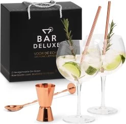 BarDeluxe® Gin Tonic Glazen - Gin Tonic Geschenkset - Handgeblazen - Gin Glazen - 2 Stuks - Gin Set - Kristal - Inclusief 2 Gin Glazen, Gin Tonic Lepel, Maatbeker, 2 RVS Rietjes & Receptenboekje