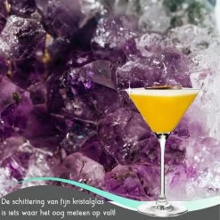 TEN Kristallen Espresso Martini Glazen 6 Stuks - Espresso Glazen 240ml + 40 Cocktail Recepten -Kook Verkoop 1200x1200 1849