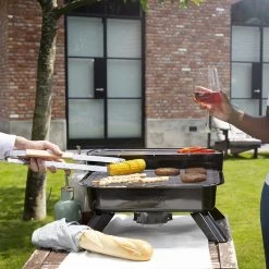 Princess 112252 Hybride Barbecue – Elektrische BBQ - Tafelmodel - 2000W - 44x 29cm - Gebruik Elektrisch Of Met Kolen -Kook Verkoop 1200x1200 449