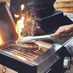 Burnhard Gas BBQ FRED JR. Deluxe - 2 Branders - Incl. Keramische Infraroodbrander & Afdekhoes - Deluxe -Kook Verkoop 1200x1200 579