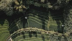 Sola Bestekset Bali - Modern - 9 Persoons - 90 Delig - Zilverwit Edelstaal 18/10 - RVS - Zilver -Kook Verkoop 1200x675 13