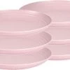Set Van 6x Stuks Rond Kunststof Borden Oud Roze 25 Cm - Herbruikbaar - Dinerbord - Barbecuebord - Campingbord -Kook Verkoop 1200x689 3