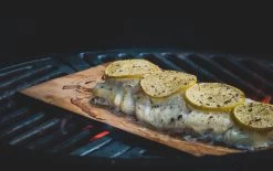 Merkloos Rookplank Western Red Cedar - 5 Stuks - Rookhout -Kook Verkoop 1200x754