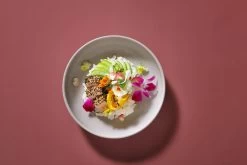 Palmer Serviesset Sandy Loam Stoneware 6-persoons 24-delig Grijs -Kook Verkoop 1200x800 48