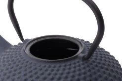 Bredemeijer - Theepot Xilin 1,25L Gietijzer Blauw -Kook Verkoop 1200x800 78