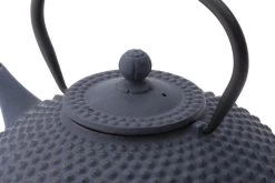 Bredemeijer - Theepot Xilin 1,25L Gietijzer Blauw -Kook Verkoop 1200x800 79