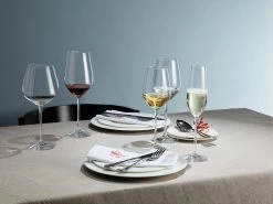 Schott Zwiesel Fortissimo Bourgogne Wijnglazen - 0.727 L - 6 Stuks -Kook Verkoop 1200x898 6