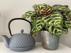 Bredemeijer Theepot Fujian 1.2L Met Filter Warm Grijs 17 Bredemeijer Theepot Fujian 1.2L Met Filter Warm Grijs -Kook Verkoop 1200x899 20