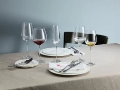 Schott Zwiesel Fortissimo Water / Rode Wijnglas - 0.51 Ltr - 6 Stuks -Kook Verkoop 1200x899 41