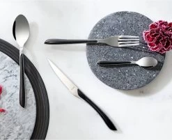 Amefa Eclat Zwart - 16 Delige Set - 4 Persoons - Zwart Gekleurd Bestek 16 Amefa Eclat Zwart - 16 Delige Set - 4 Persoons - Zwart Gekleurd Bestek -Kook Verkoop 1200x975 1