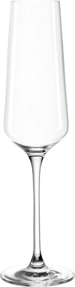 Leonardo Puccini Champagneglas - 280 Ml - 6 Stuks -Kook Verkoop 316x1200 2