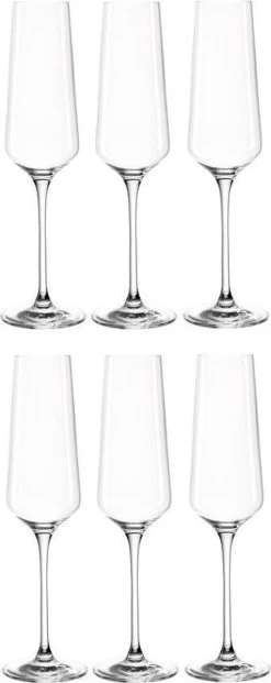 Leonardo Puccini Champagneglas - 280 Ml - 6 Stuks -Kook Verkoop 477x1200 1