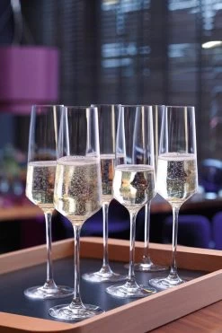 Leonardo Puccini Champagneglas - 280 Ml - 6 Stuks -Kook Verkoop 800x1200 77