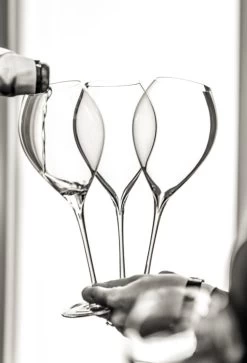 Lehmann Jamesse Champagneglazen 41cl -Kook Verkoop 816x1200 1