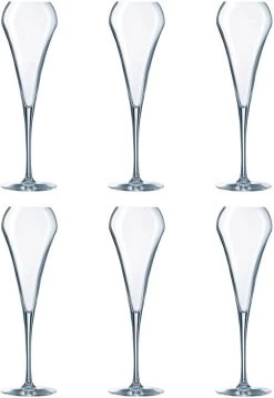 Chef&Sommelier Open Up Champagneglas - 0.20 L - Set-6 -Kook Verkoop 825x1200 3