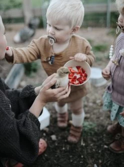 Siliconen Kommen - Mushie - Woodchuck - Set 2 -Kook Verkoop 894x1200 1