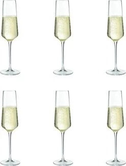 Leonardo Puccini Champagneglas - 280 Ml - 6 Stuks -Kook Verkoop 912x1200 7