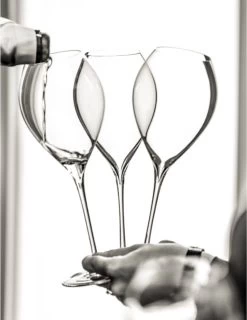 Lehmann Jamesse Champagneglazen 28.5cl -Kook Verkoop 925x1200 3